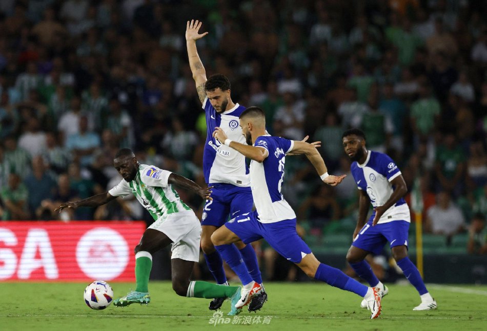 篮球运动的 篮球运动的