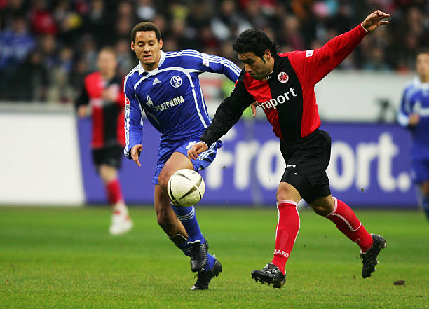 的海滨城市 的海滨城市